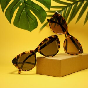 Polarized Sunglasses